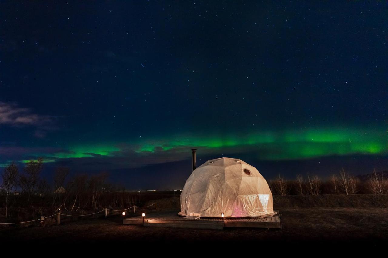 Reykjavik Domes Hotel Buitenkant foto